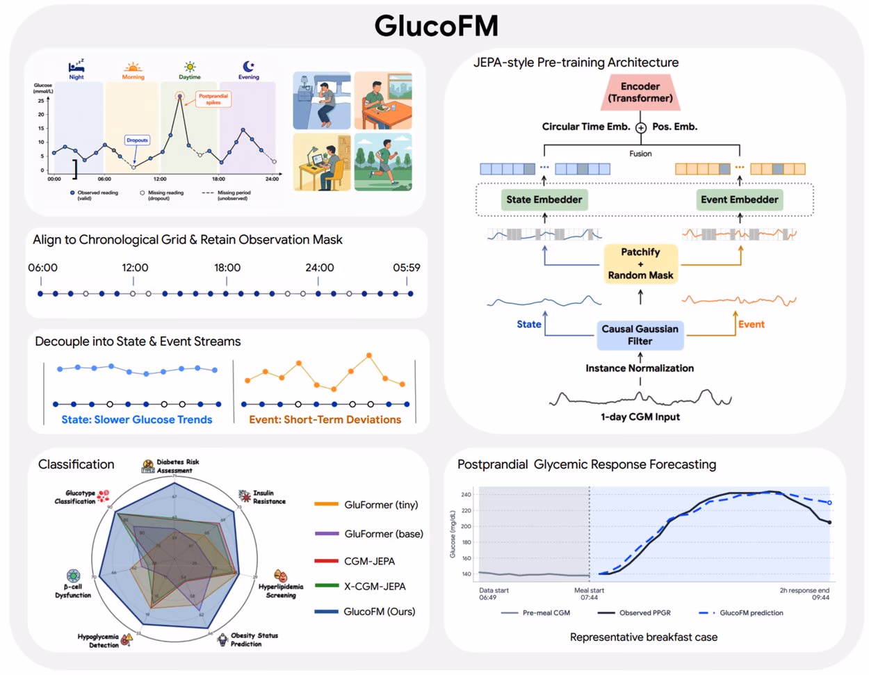 AI资讯:谷歌GlucoFM展示连续血糖曲线与代谢风险分析